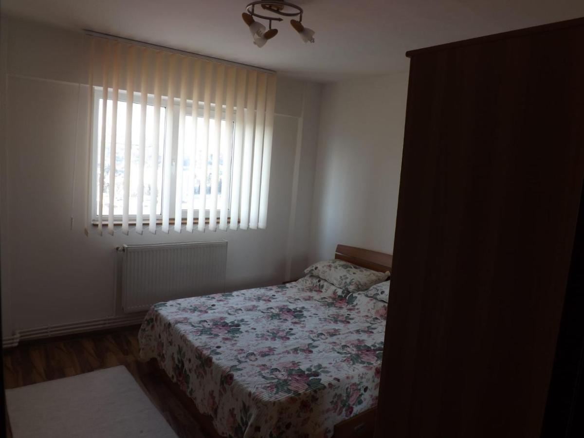 Appartamento Mountain View Cîmpulung Esterno foto